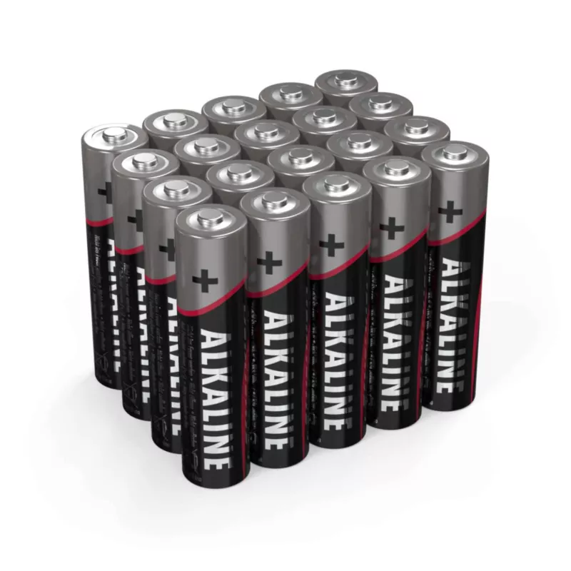Caja de 20 pilas profesionales AAA LR-3