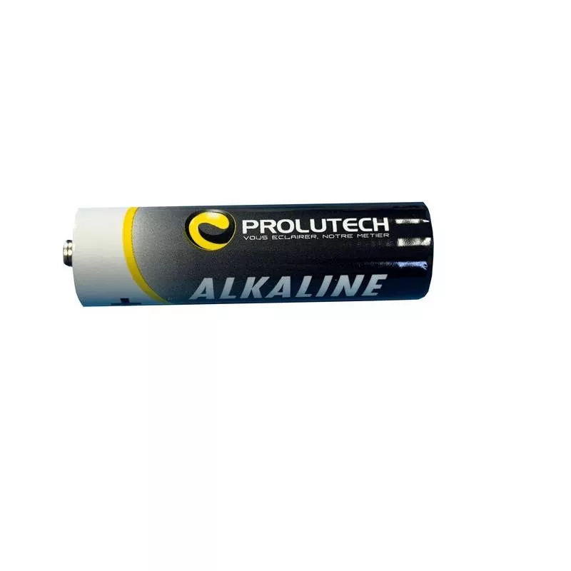 Piles professionnelle alcaline AA Prolutech