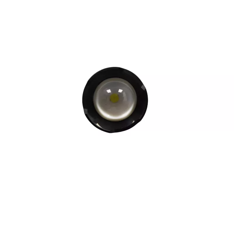 TR1100 LED variable-focus flashlight - 1100 lumens by Prolutech